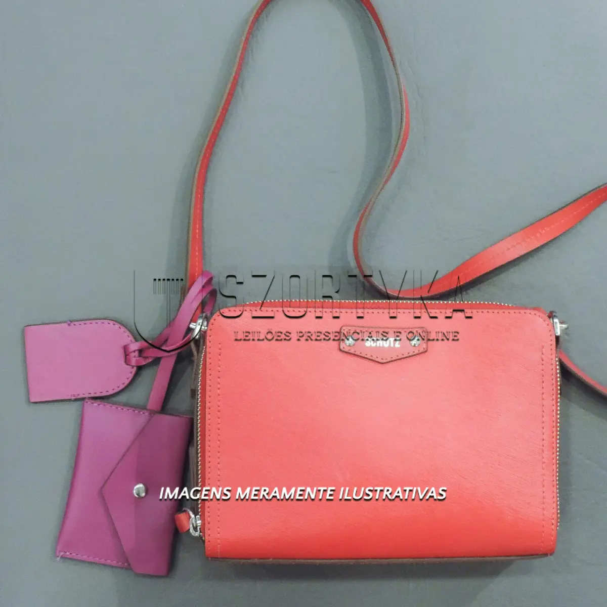 LOTE 001 - BOLSA SCHUTZ.
