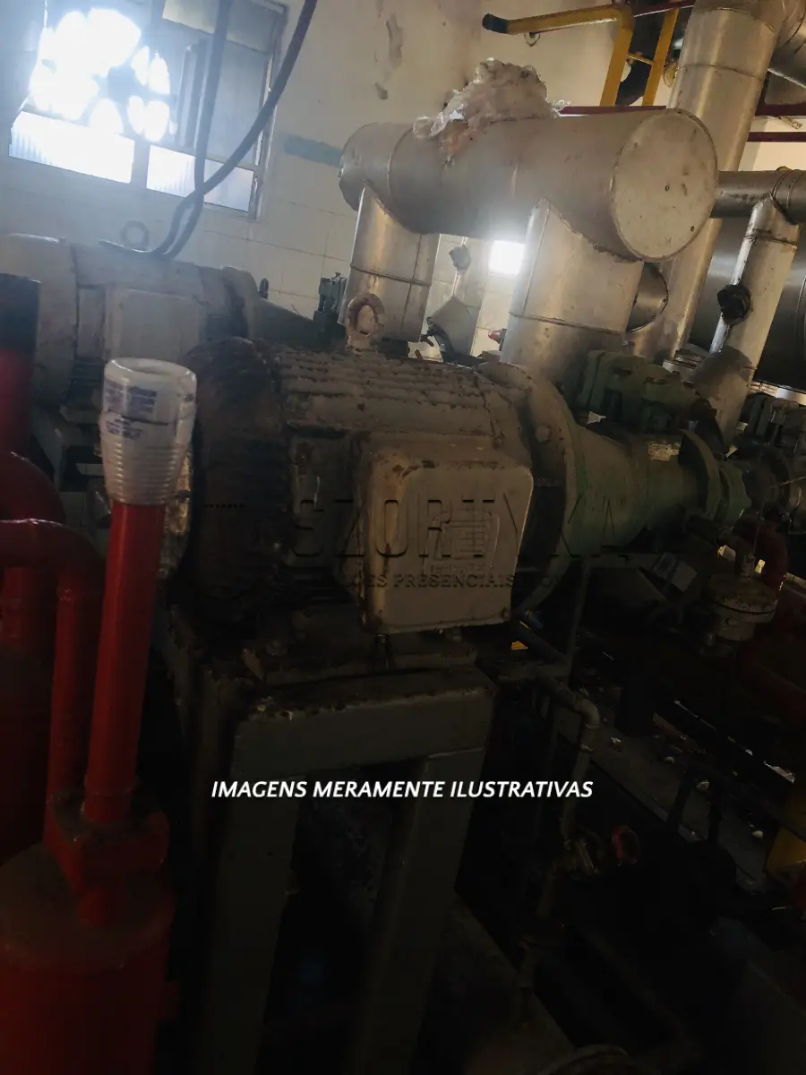 LOTE 001 - 02 compressores de parafuso, sistema helicoidal para funcionamento com gás NH3 (amônia), acoplados a motores elétricos de 40CV.