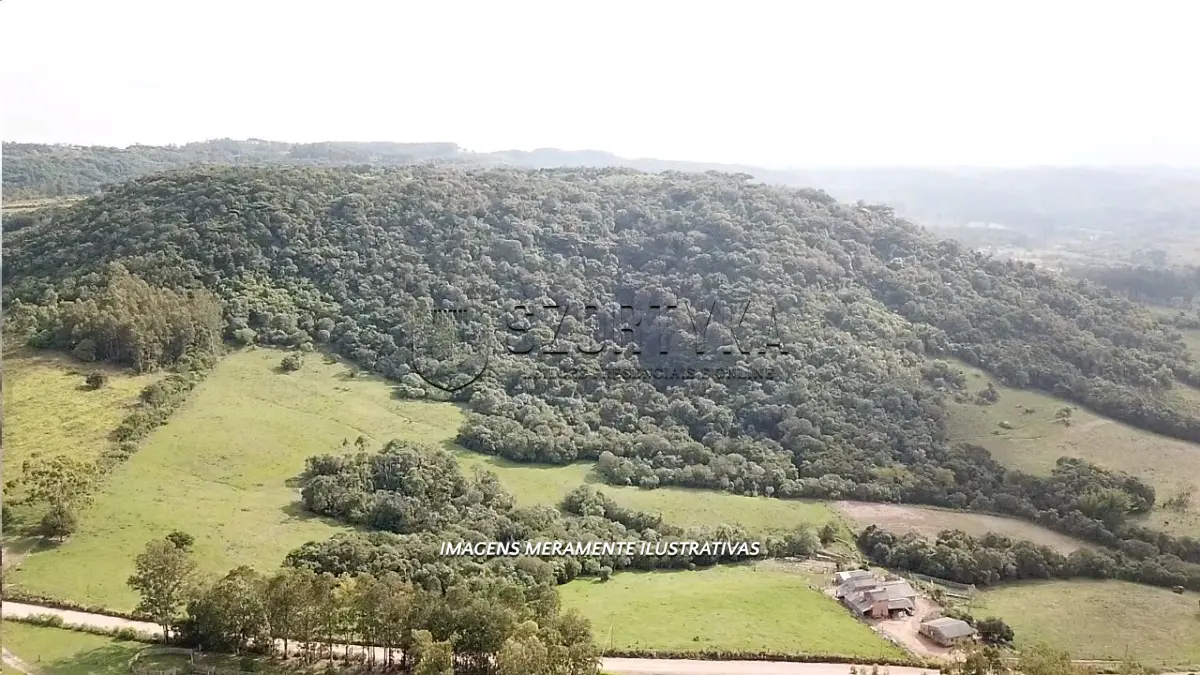 LOTE 001 - 08 HECTARES DE TERRAS EM DOM FELICIANO