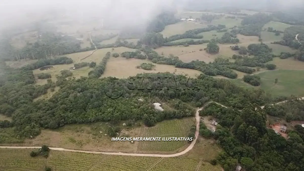 LOTE 001 - FRAÇÃO DE TERRAS EM CRISTAL