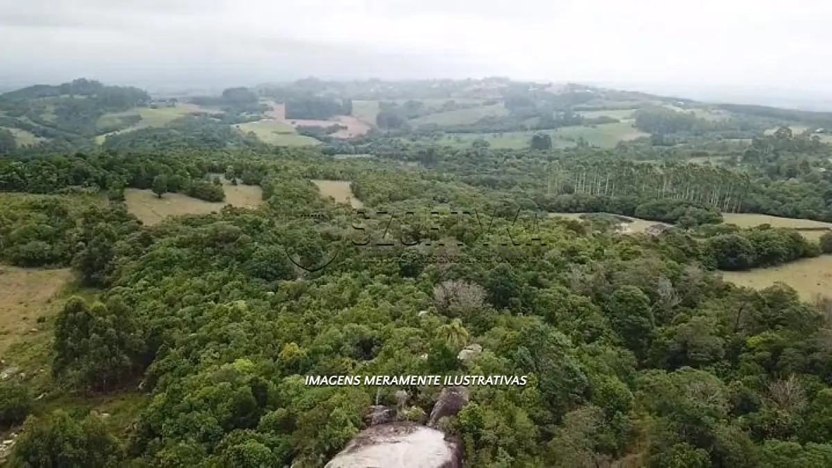 LOTE 001 - FRAÇÃO DE TERRAS EM CRISTAL