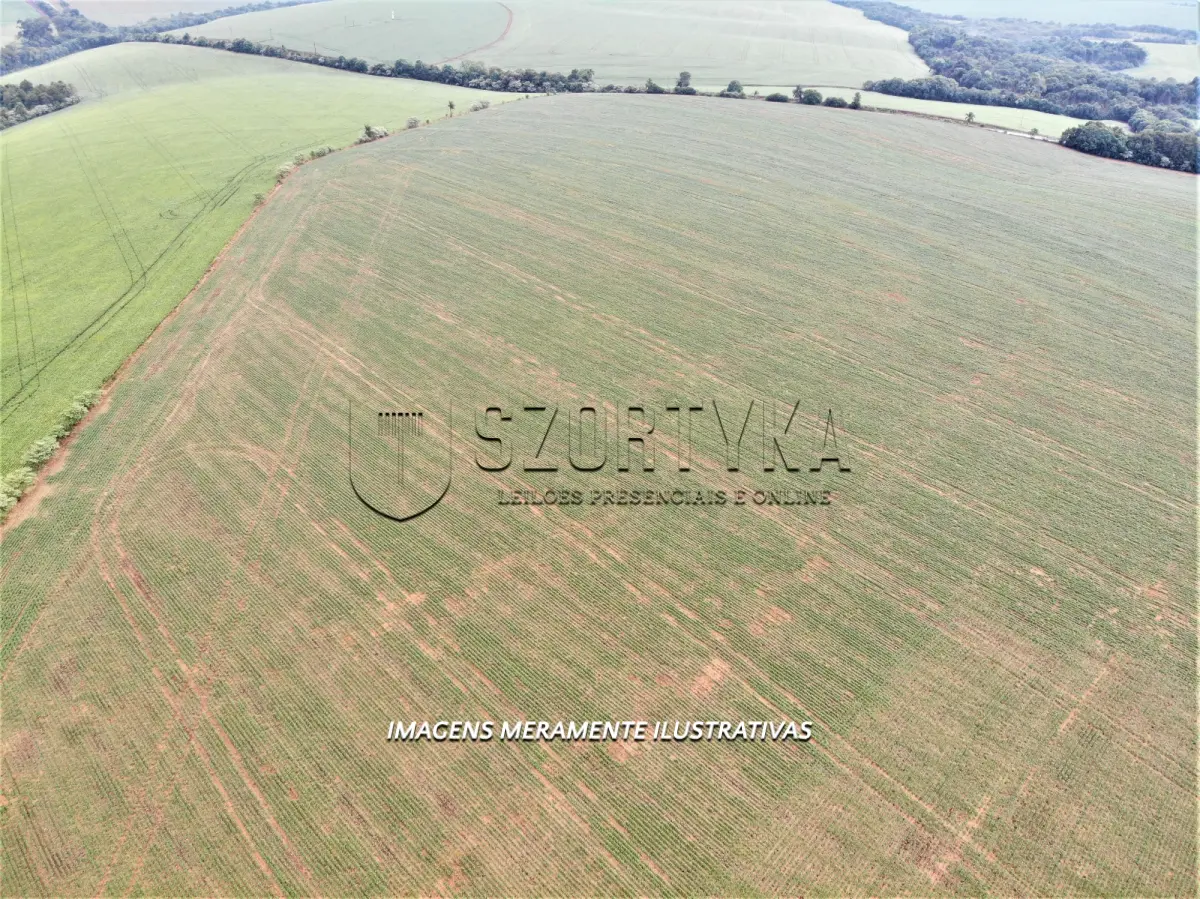 LOTE 001 - UMA FRAÇÃO DE TERRAS COM 12has 60as EM PEJUÇARA/RS
