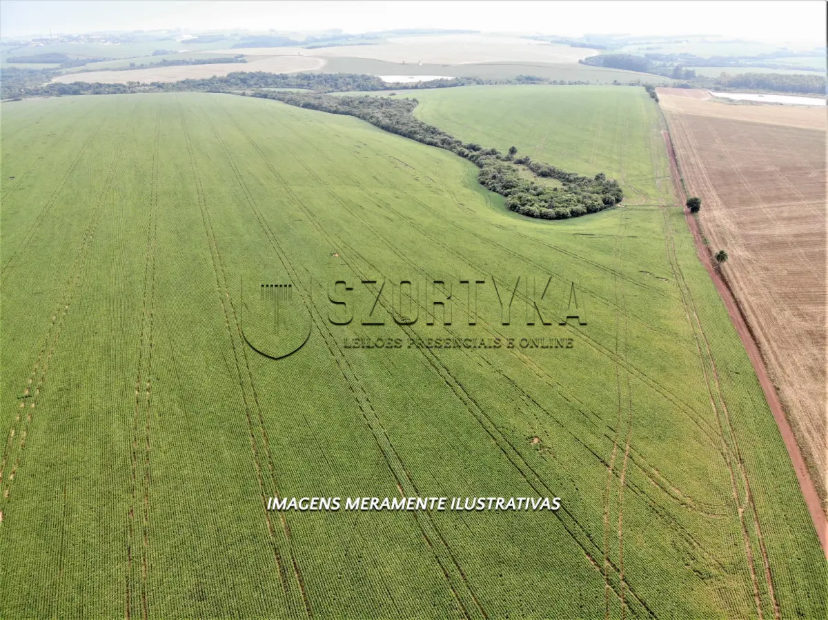LOTE 001 - UMA FRAÇÃO DE TERRAS COM 24has 79as EM PEJUÇARA/RS