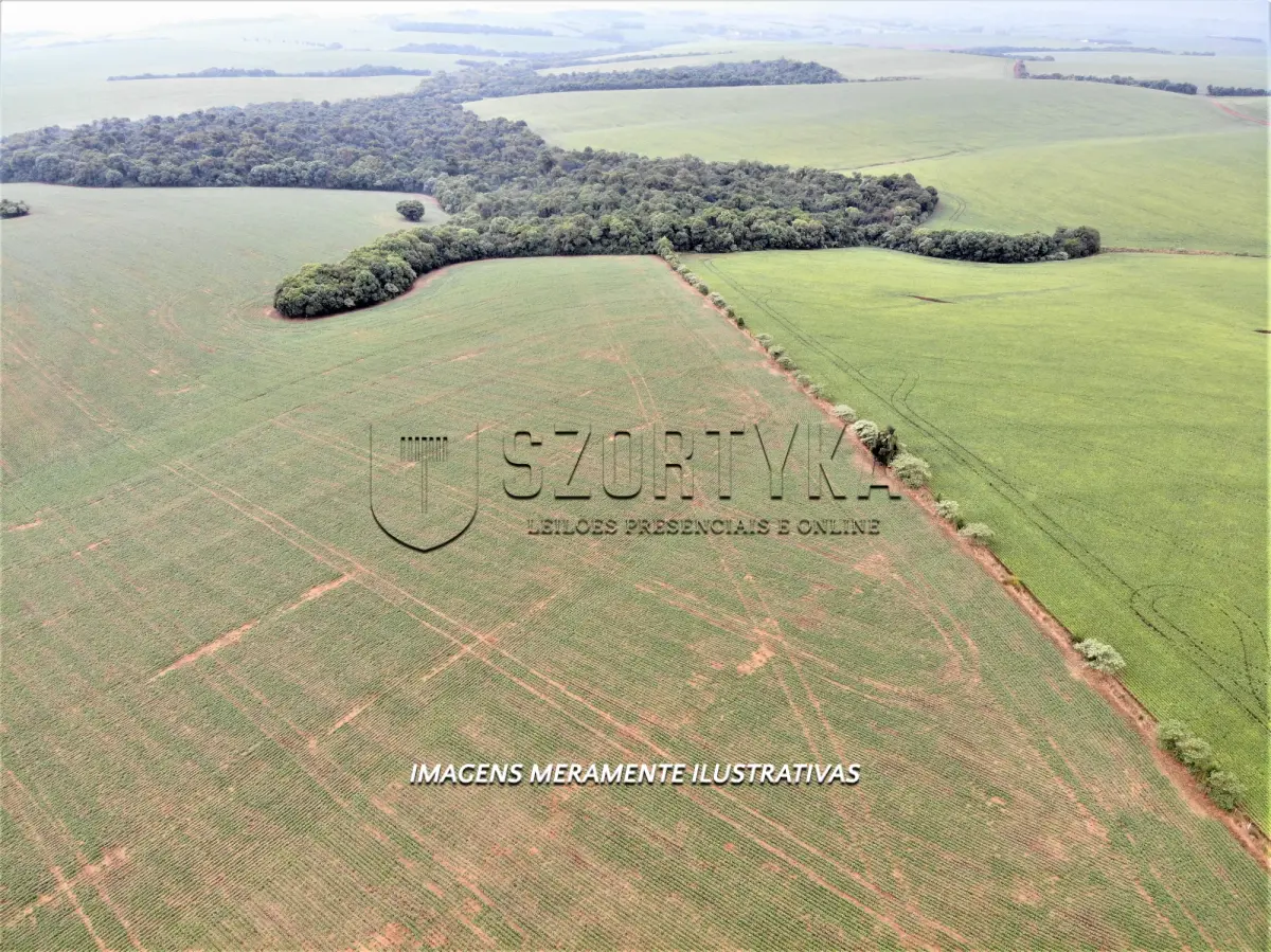 LOTE 001 - UMA FRAÇÃO DE TERRAS COM 12has 60as EM PEJUÇARA/RS