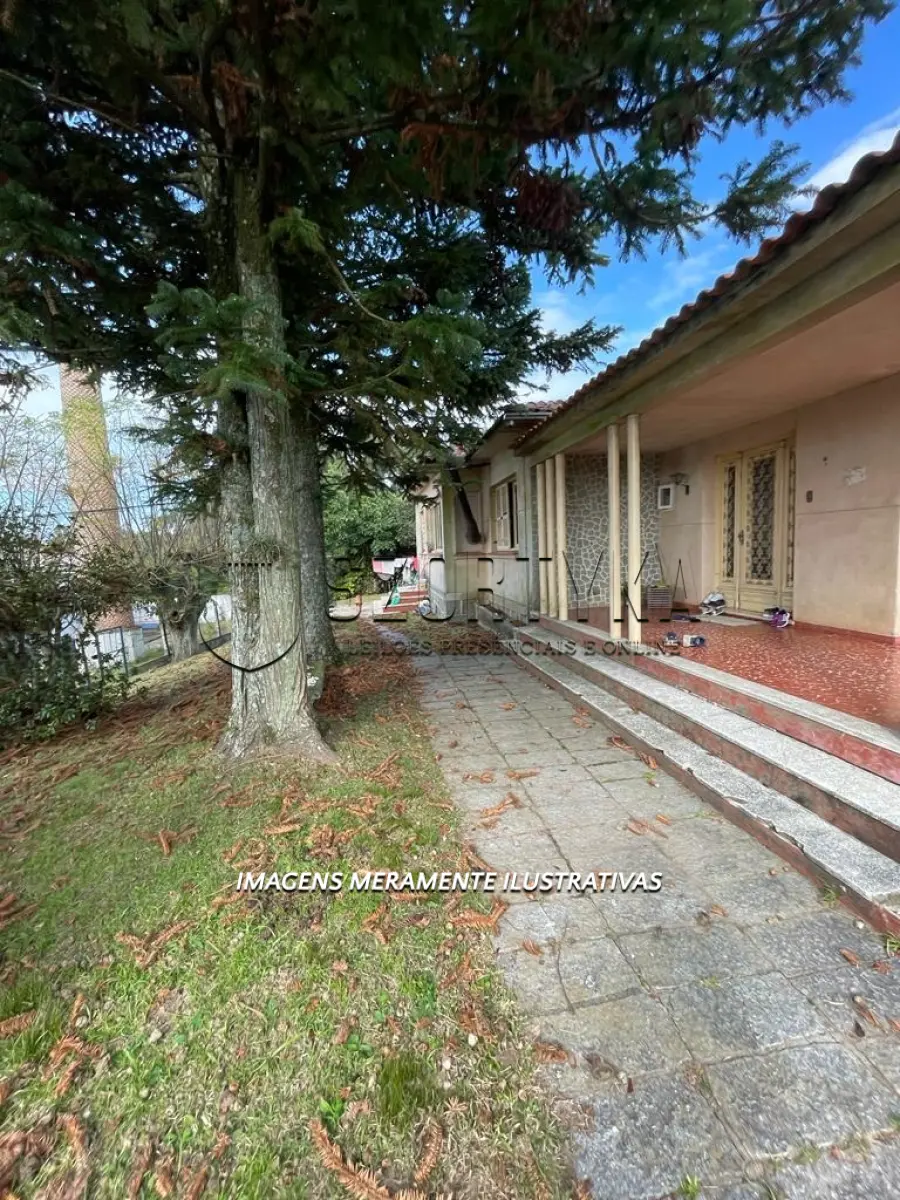 LOTE 001 - UMA FRAÇÃO DE TERRAS COM 4ha.26a.49ca