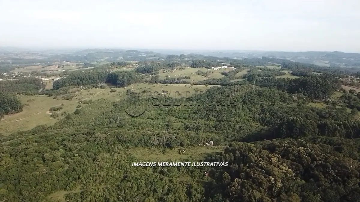 LOTE 000 - UMA FRAÇÃO DE TERRAS DE 20HA EM CANGUÇU