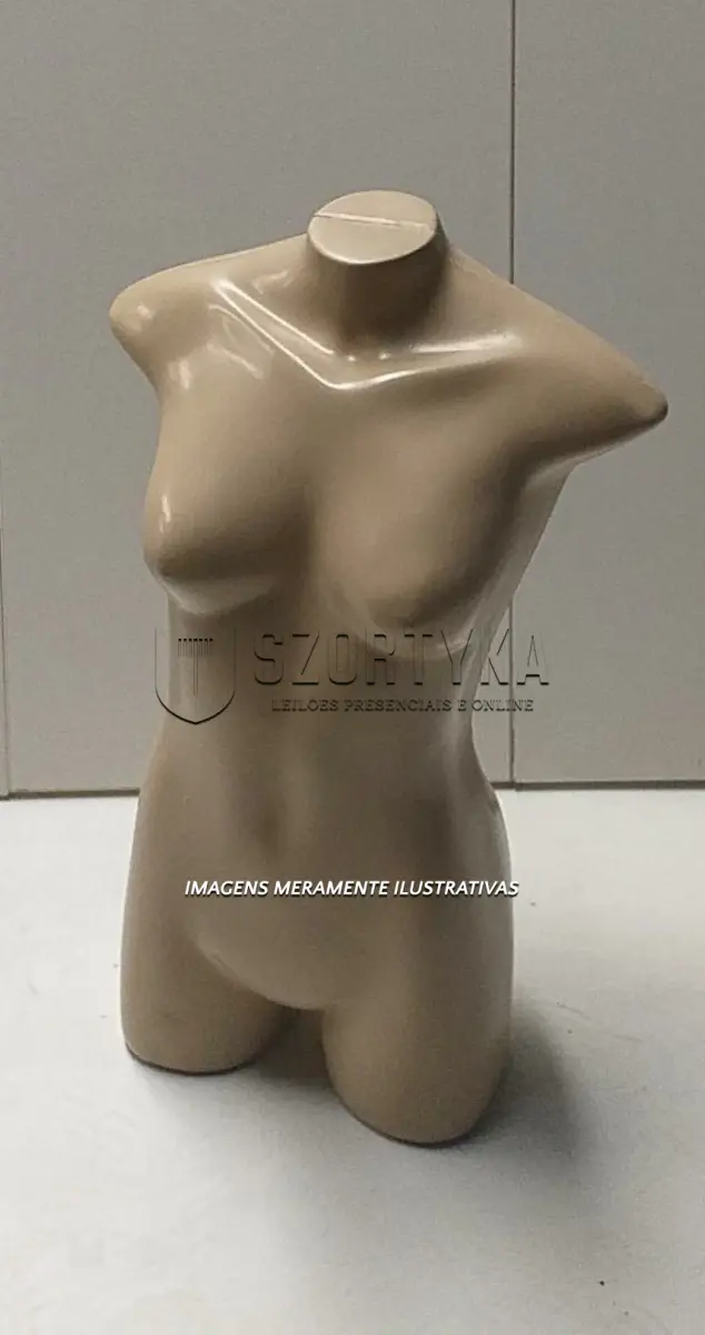 LOTE 014 - BUSTO FEMININO