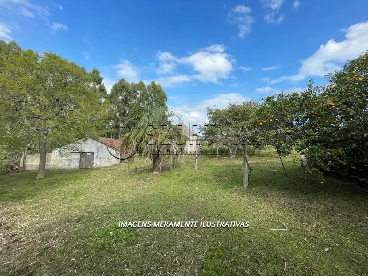 LOTE 001 - UMA FRAÇÃO DE TERRAS COM 4ha.26a.49ca