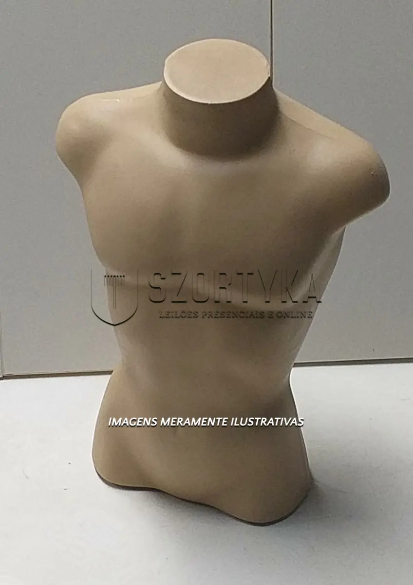 LOTE 015 - BUSTO MASCULINO