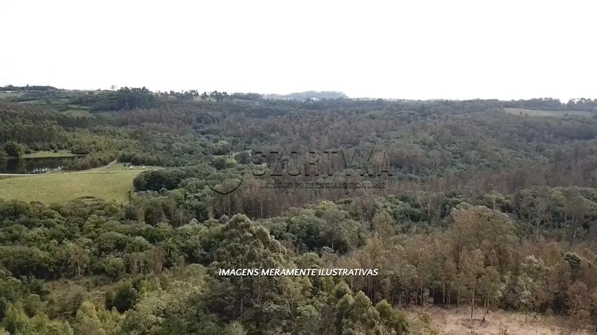 LOTE 002 - UMA FRAÇÃO DE TERRAS COM 13ha. 35a.52ca