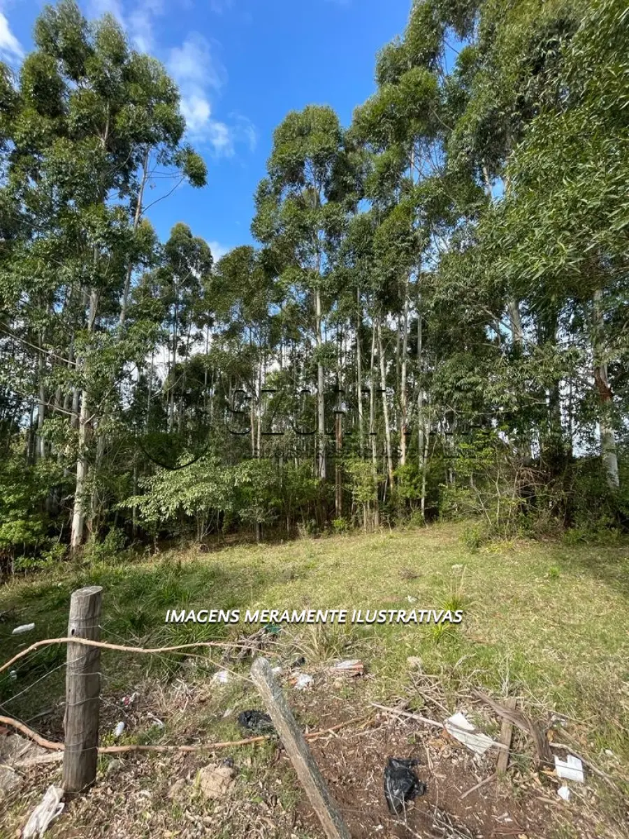 LOTE 001 - UMA FRAÇÃO DE TERRAS COM 4ha.26a.49ca