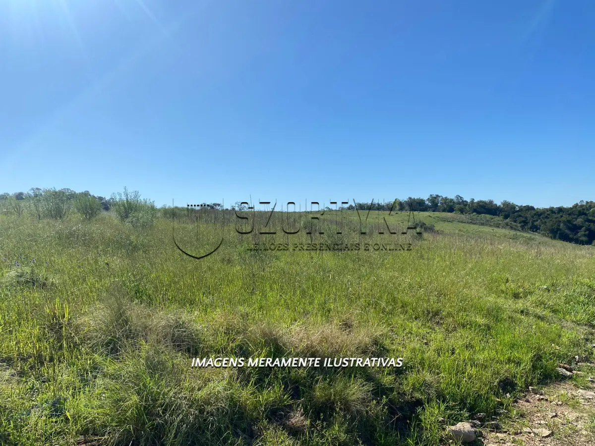 LOTE 002 - FRAÇÃO IDEAL DE 20HA DE UMA FRAÇÃO DE TERRAS