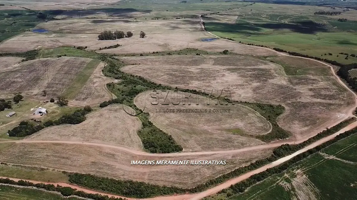 LOTE 001 - UMA FRAÇÃO DE TERRAS COM 26HA EM JAGUARÃO