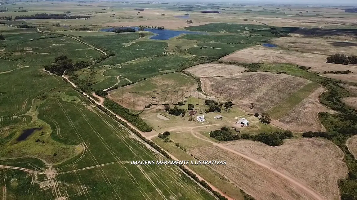 LOTE 001 - UMA FRAÇÃO DE TERRAS COM 26HA EM JAGUARÃO