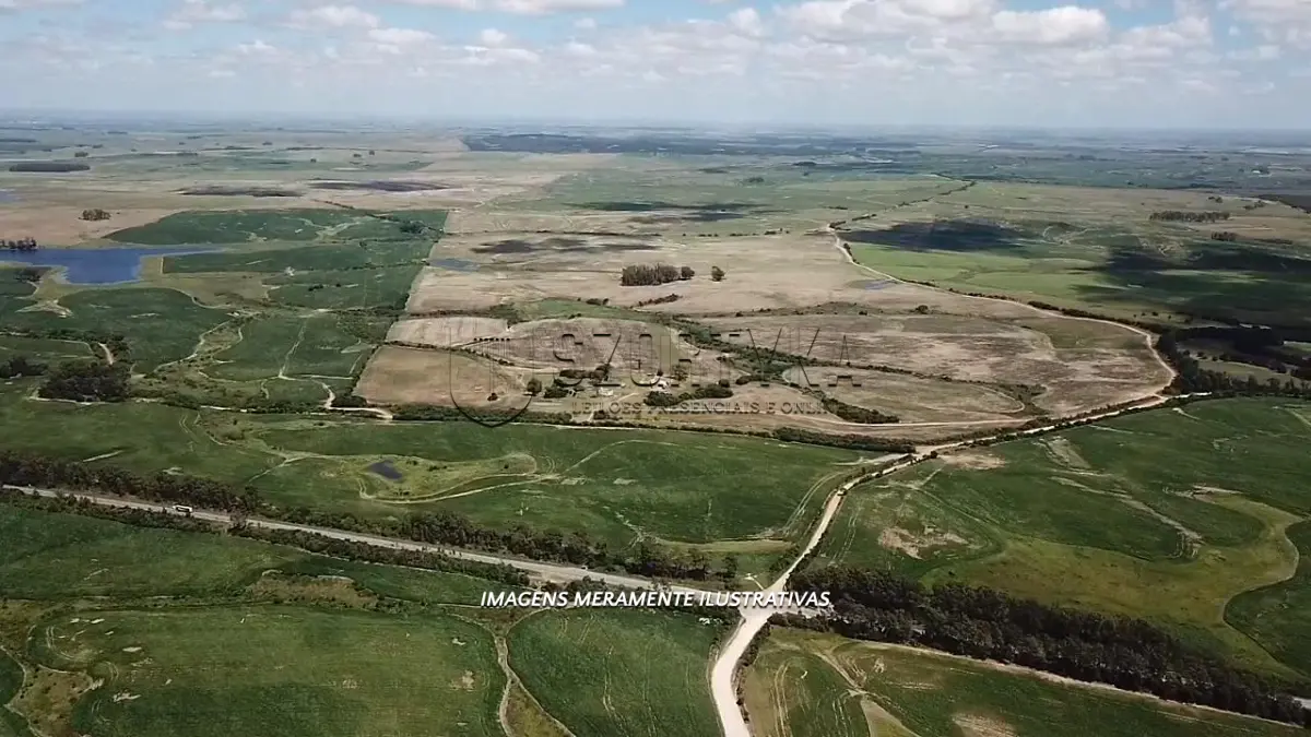 LOTE 001 - UMA FRAÇÃO DE TERRAS COM 26HA EM JAGUARÃO