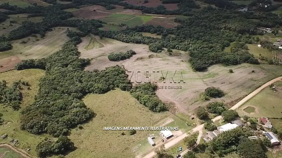 LOTE 001 - 20HA DE TERRAS EM SÃO LOURENÇO DO SUL