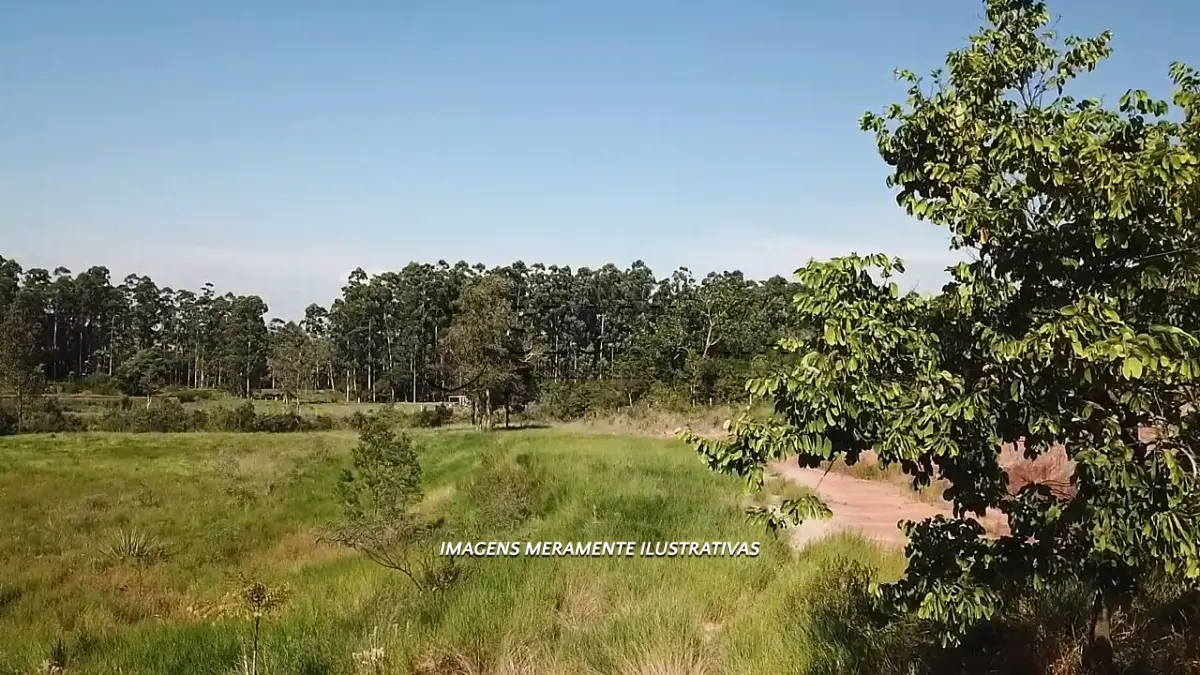 LOTE 019 - ÁREA PÚBLICA MATRICULA N°9.254