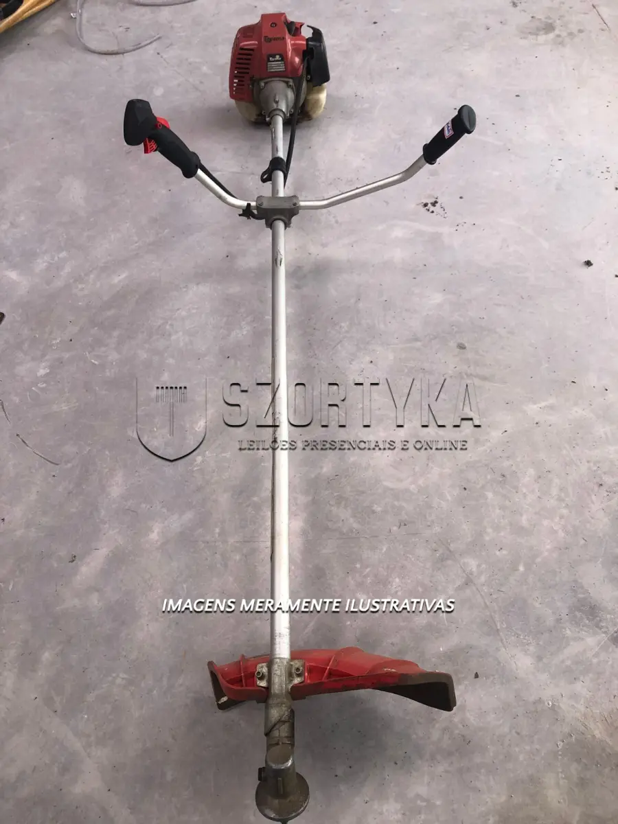 LOTE 050 - 03 Bombas trifasicas 4 cv 3500 rpm Thebe tsb,  03 ROÇADEIRAS 2 TEMPOS TBC43X-GII 42 7CC 301-02 TOYAMA e  01 SOPRADOR TÉRMICO 1500W/220V BLACK & DECKER