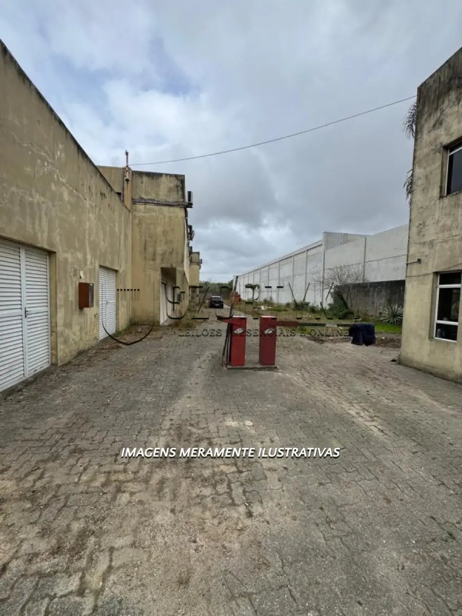 LOTE 001 - EXCELENTE IMÓVEL EM PELOTAS, COM APROX. 5.941,288 m²