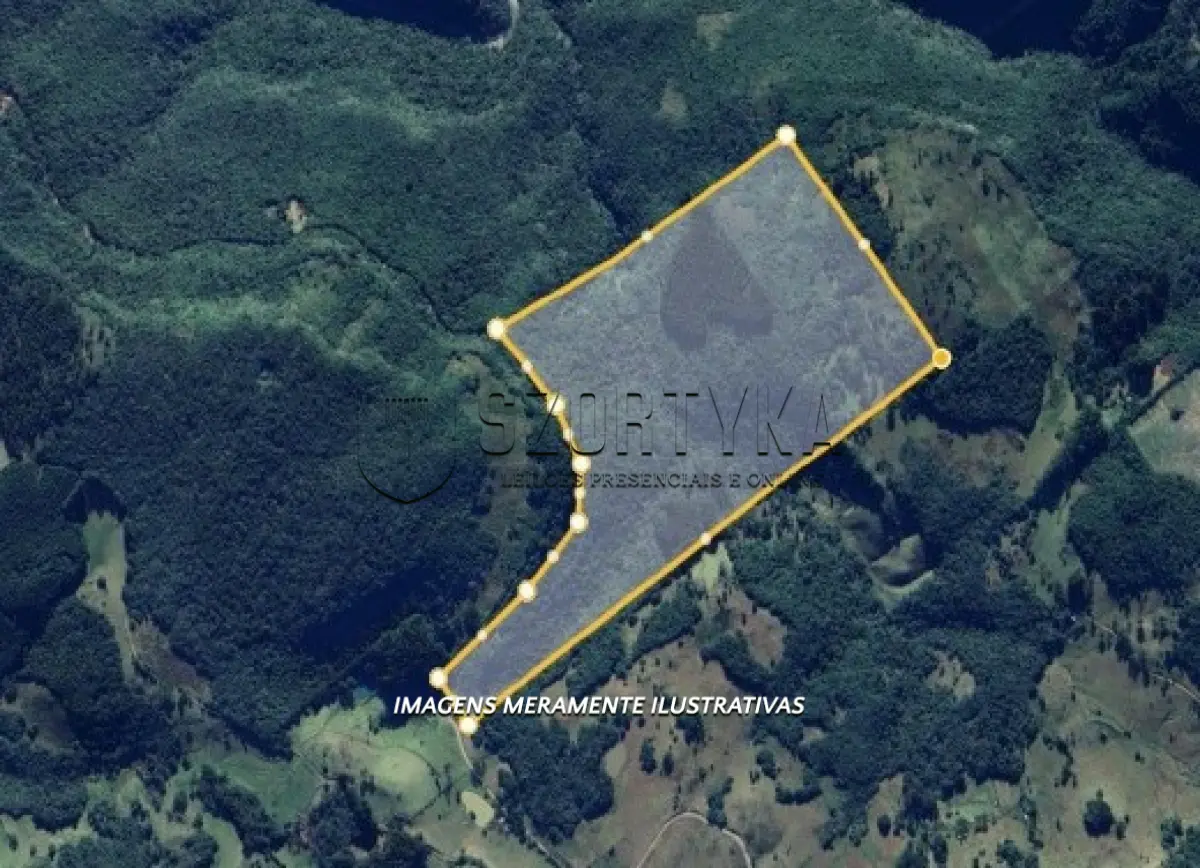 LOTE 009 - Uma fração ideal de 50% de 50ha em Nova Petrópolis