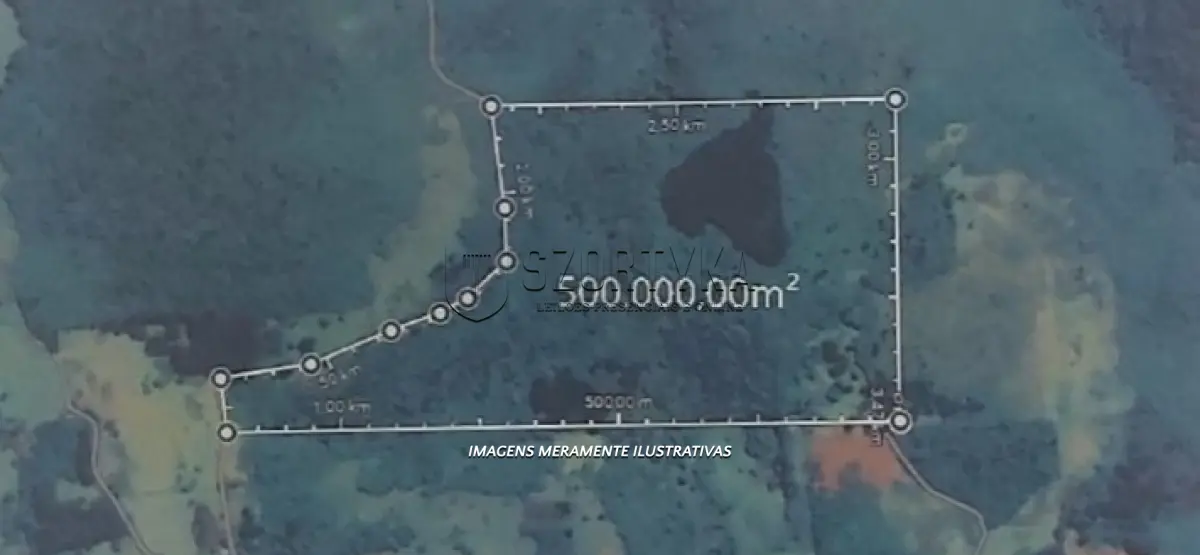 LOTE 009 - Uma fração ideal de 50% de 50ha em Nova Petrópolis