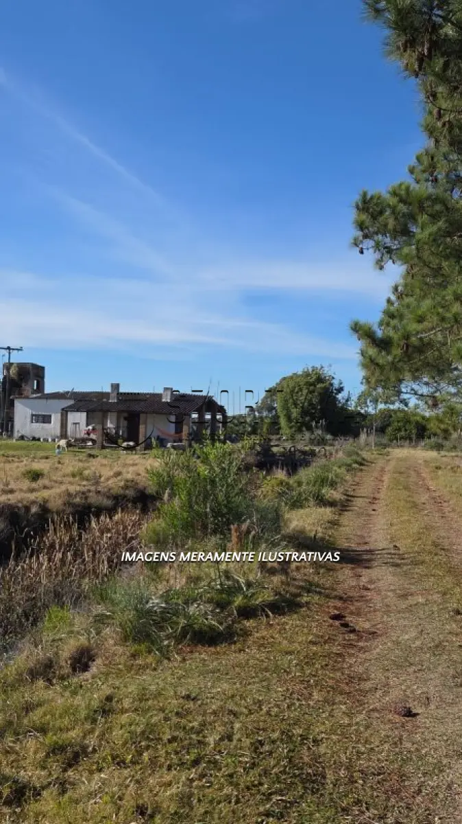 LOTE 005 - Uma chácara com 1,8ha em Santa Vitória do Palmar