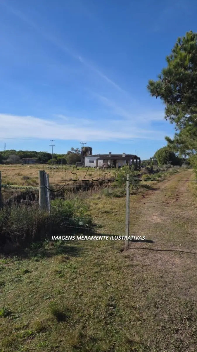 LOTE 005 - Uma chácara com 1,8ha em Santa Vitória do Palmar
