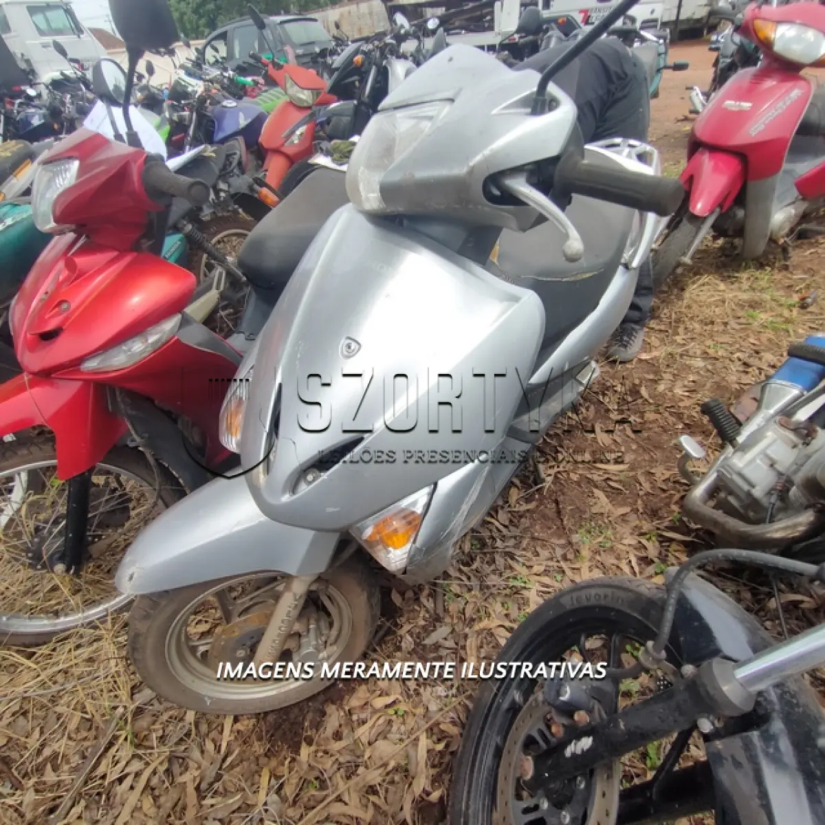 LOTE 0052