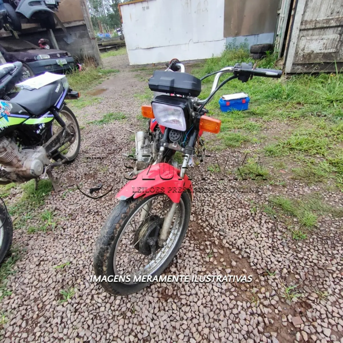 LOTE 0019