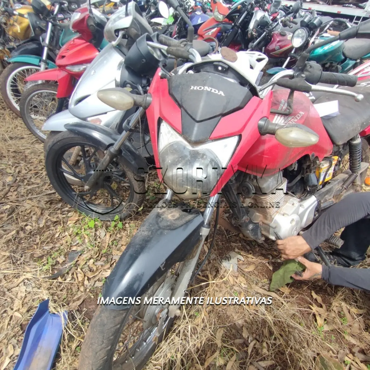 LOTE 0056
