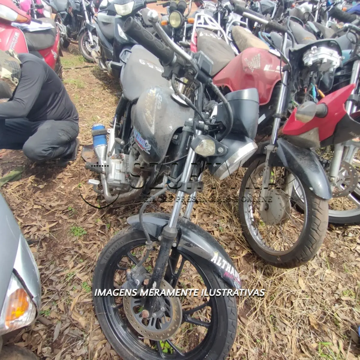 LOTE 0051