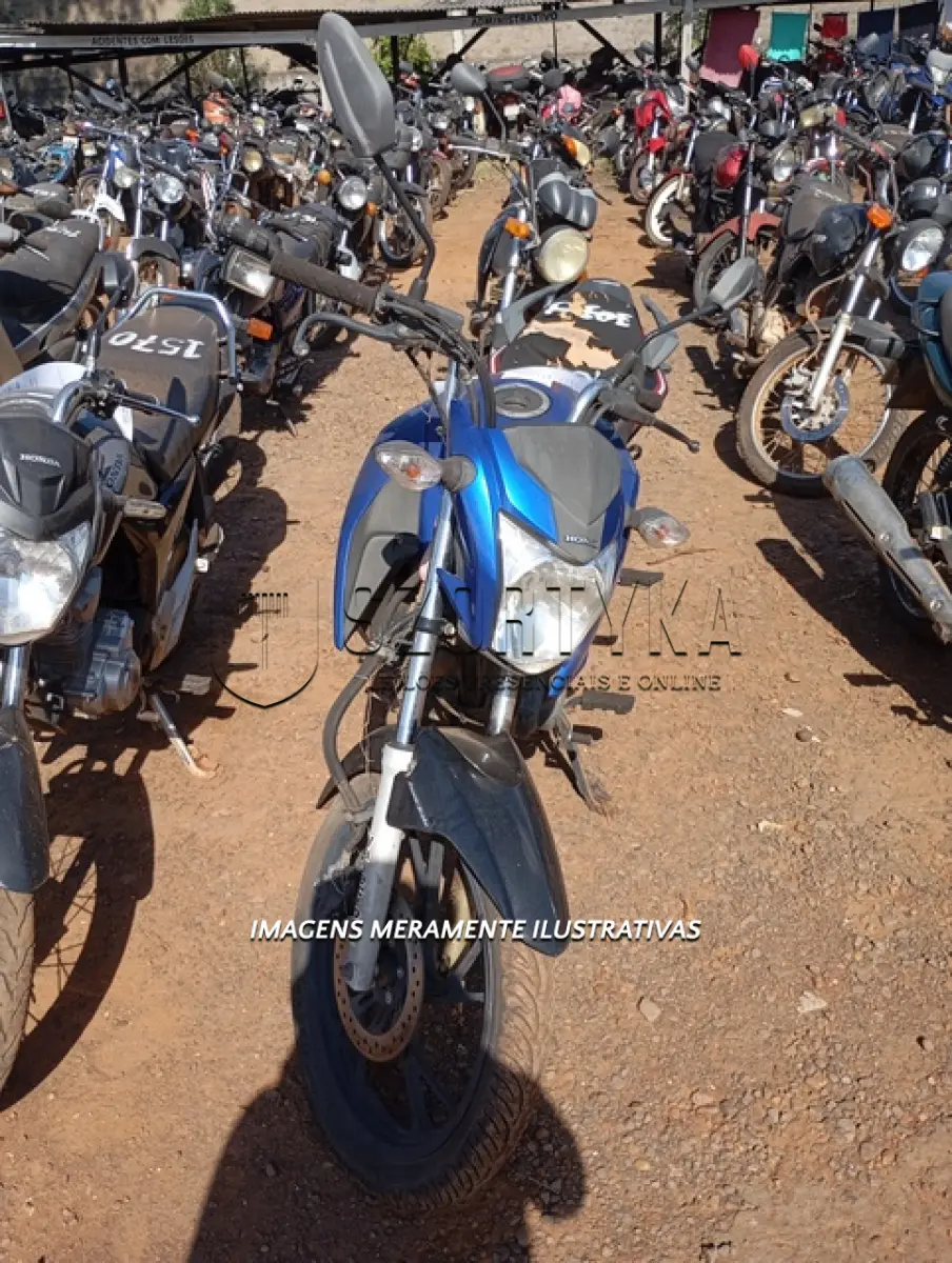 LOTE 0041