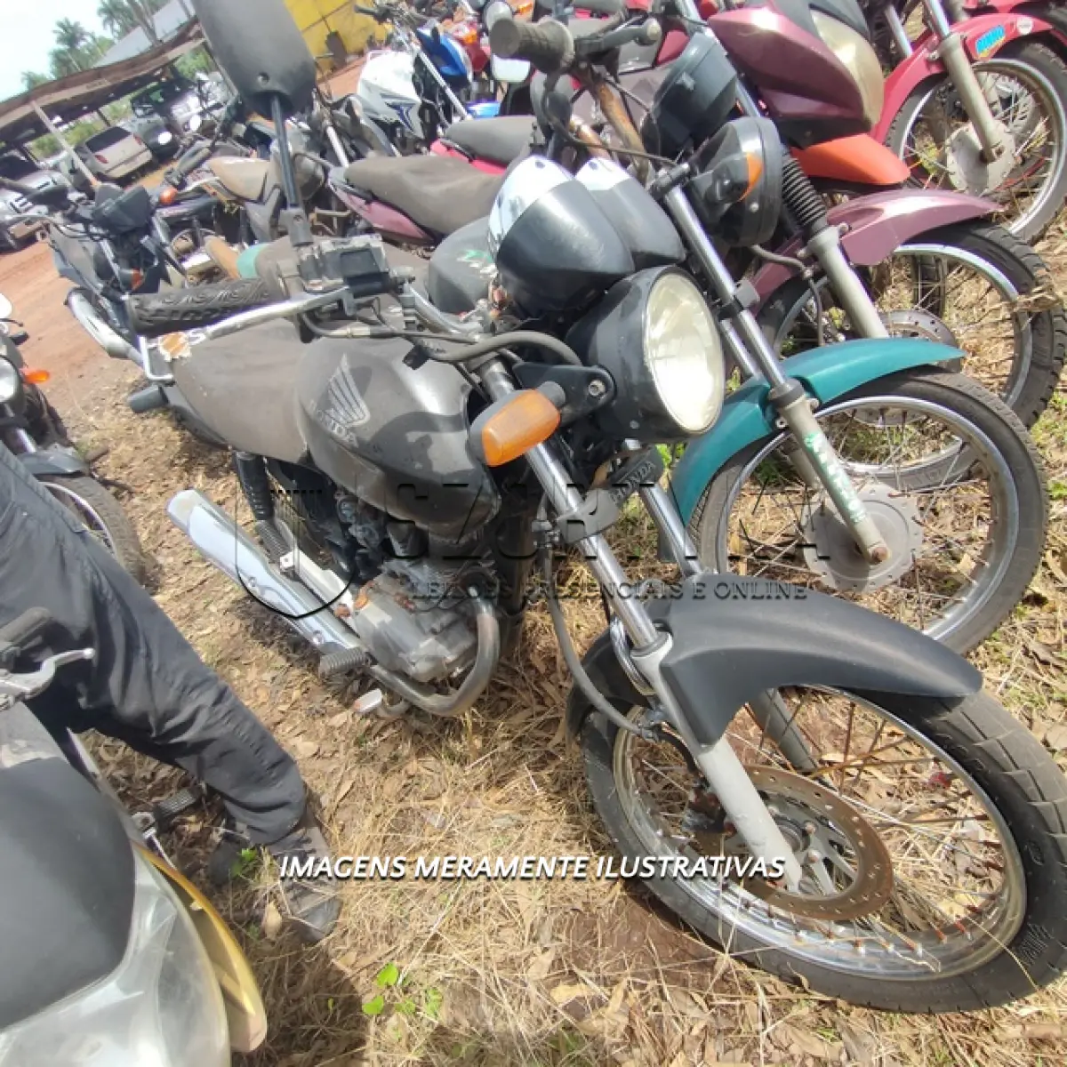 LOTE 0050