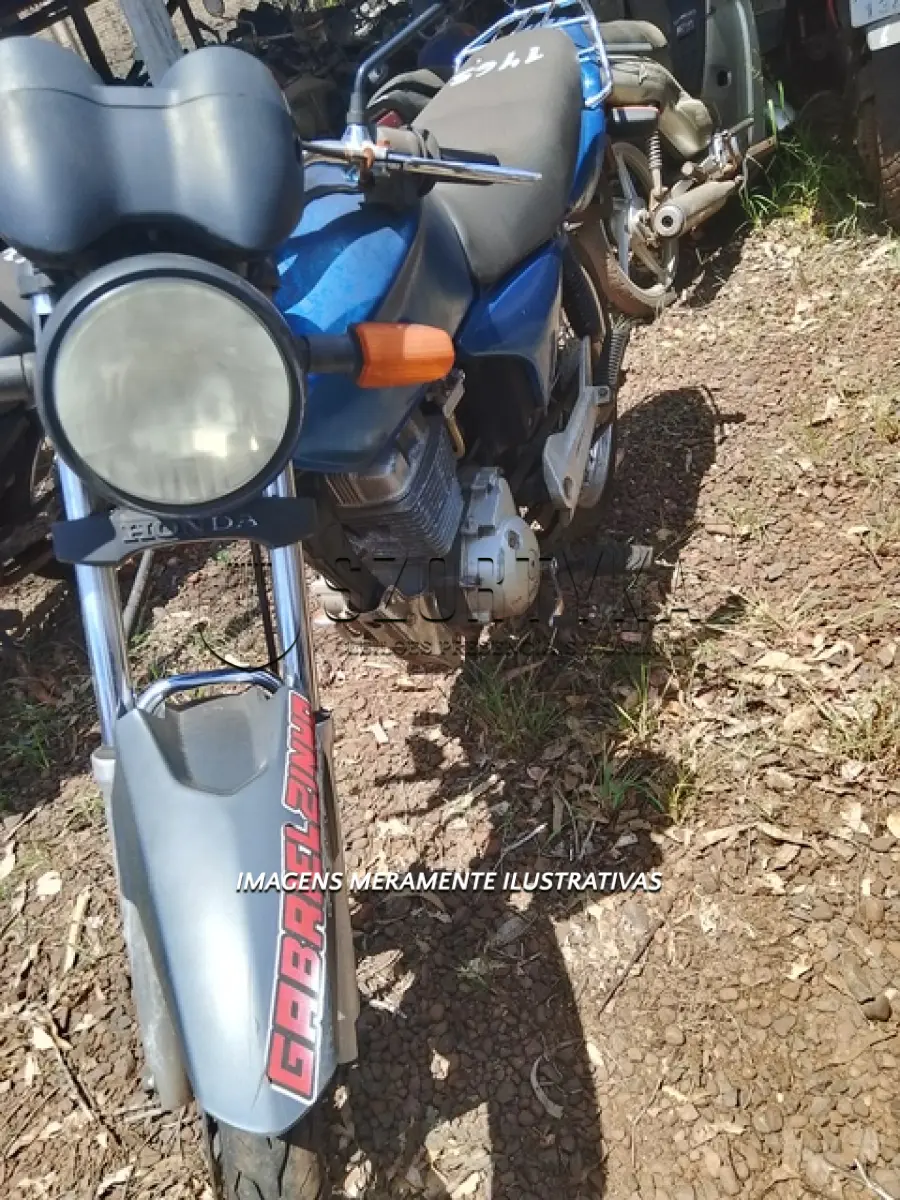 LOTE 0043