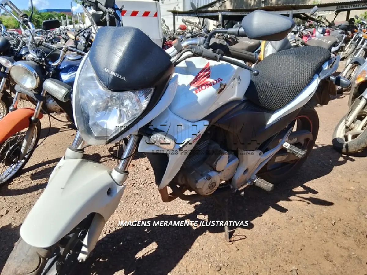 LOTE 0068