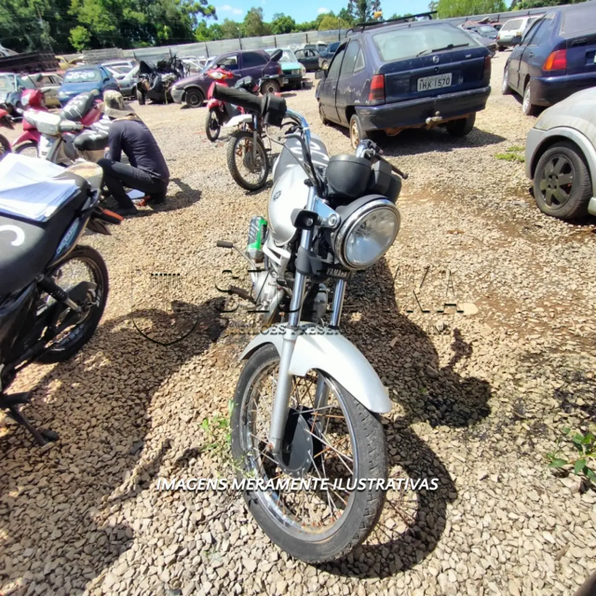LOTE 0135