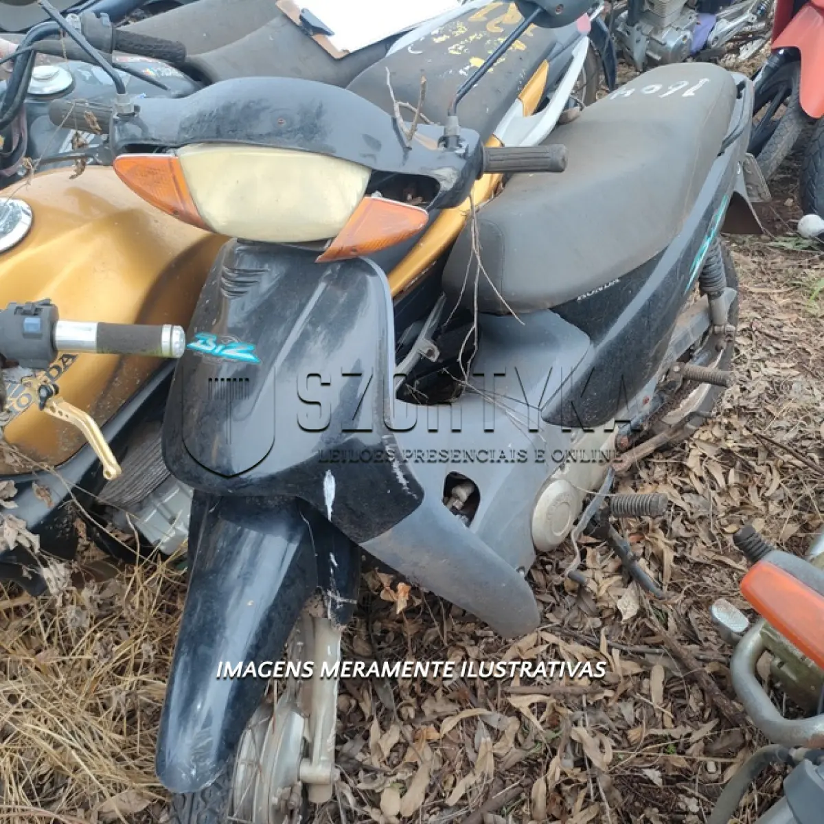 LOTE 0064