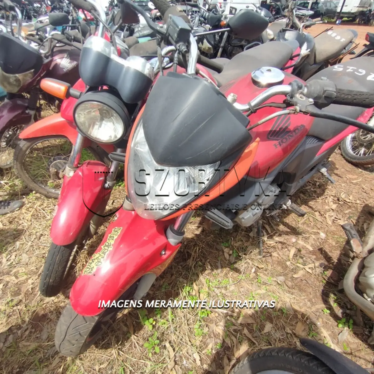 LOTE 0067