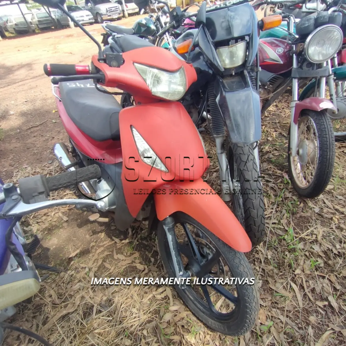 LOTE 0079