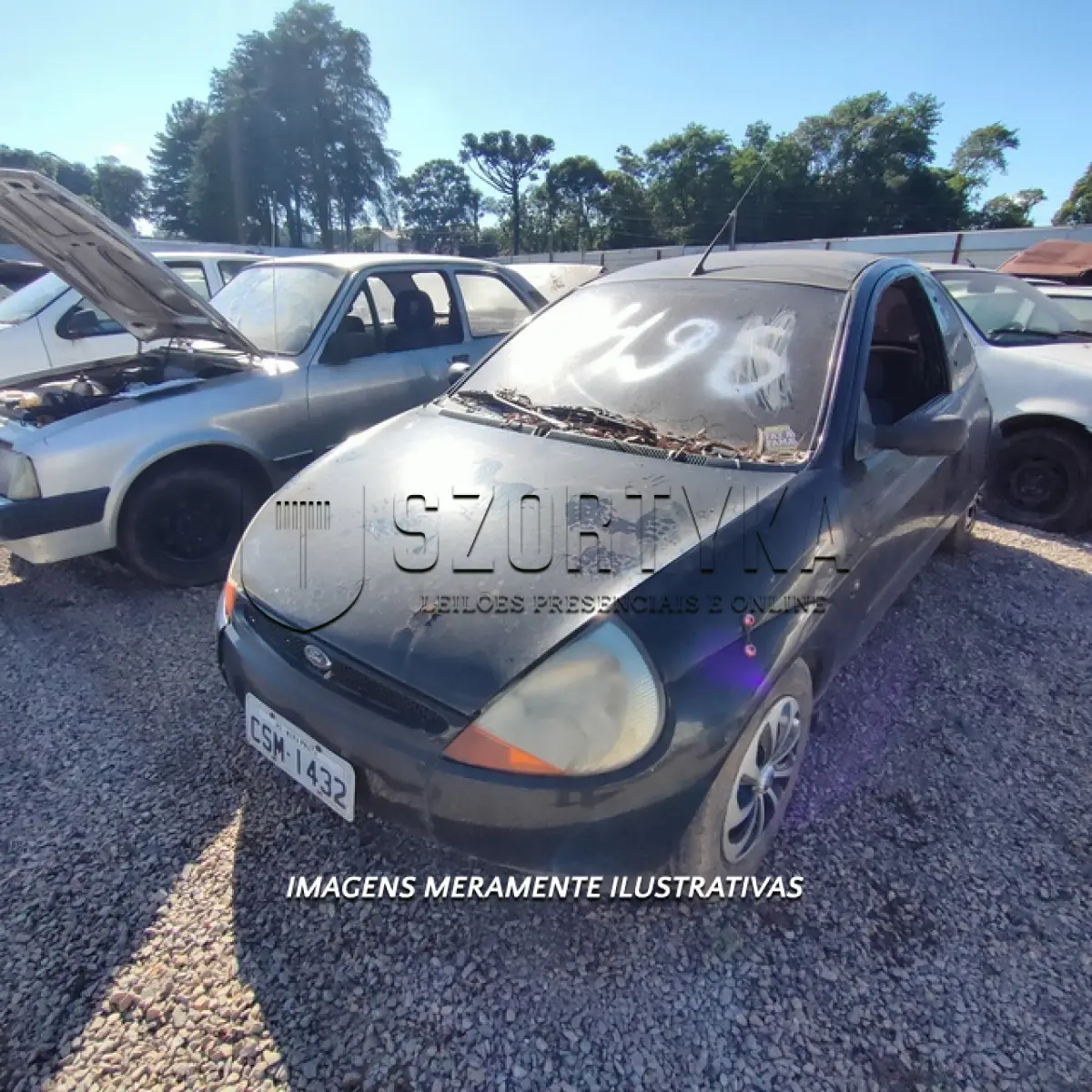 LOTE 0133