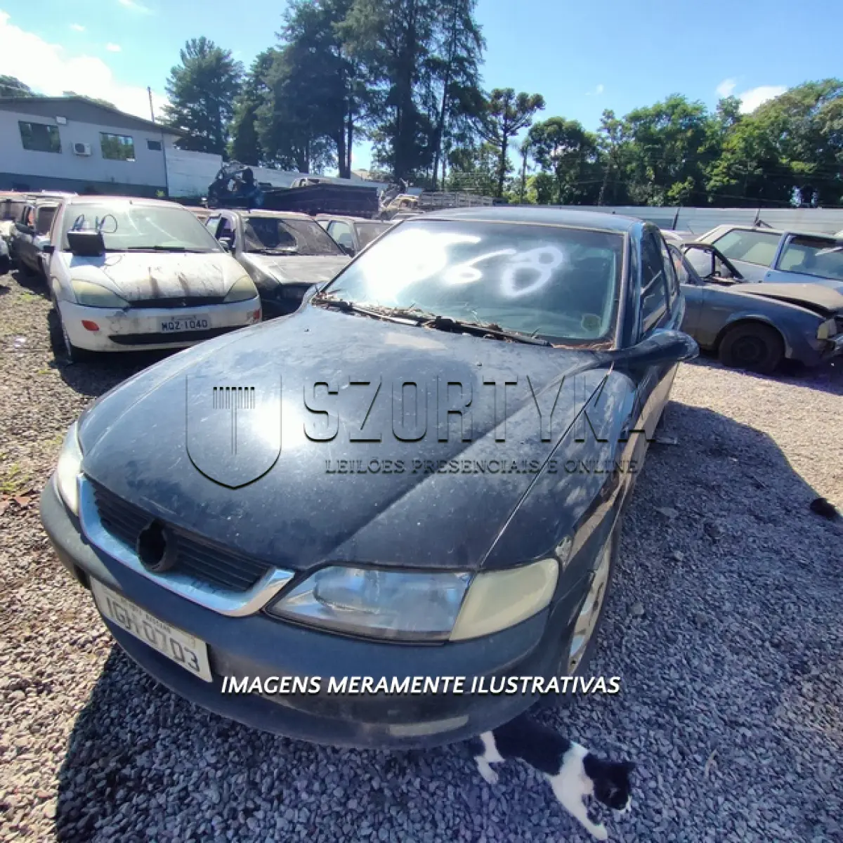 LOTE 0148