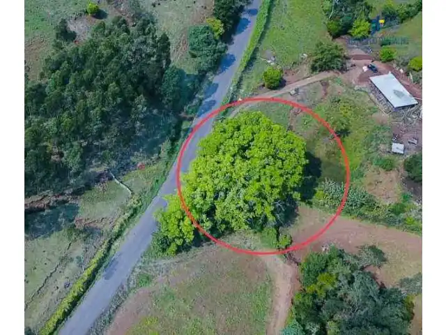LEILÃO DE UMA ÁREA  COM 606,65 M² EM FORQUETINHA