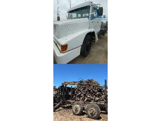 LEILÃO DE UM CAMINHÃO M.BENZ/LS 1991 E UMA GRUA FLORESTAL TMO, COM REBOQUE