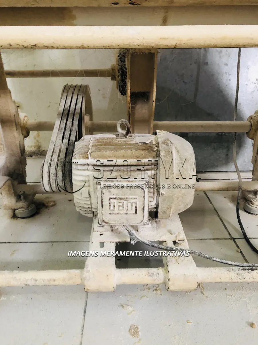 LOTE 002 - Duas masseiras, marca Irmãos Pinho, com capacidade para 150kg, com motor trifásico WEG de 8CV.
