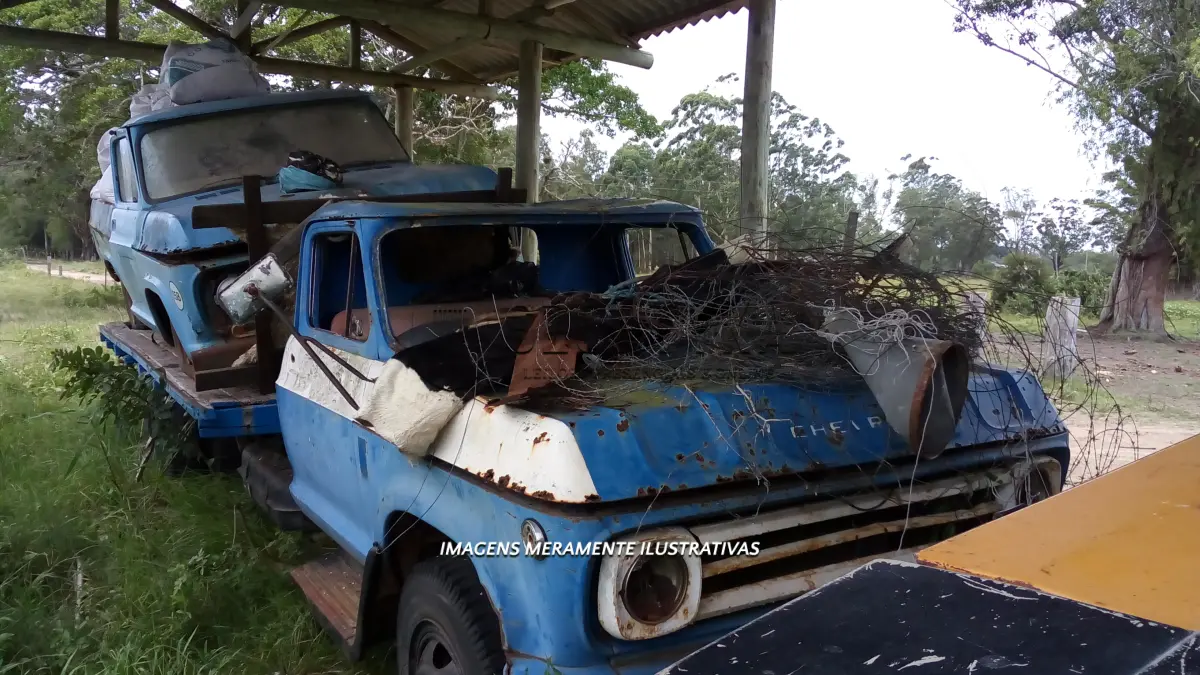 LOTE 005 - 01 CHEVROLET C10 E 01 CAMINHÃO CHEVROLET.