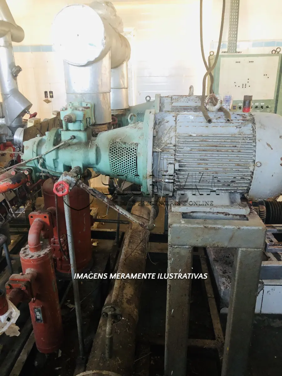 LOTE 001 - 02 compressores de parafuso, sistema helicoidal para funcionamento com gás NH3 (amônia), acoplados a motores elétricos de 40CV.