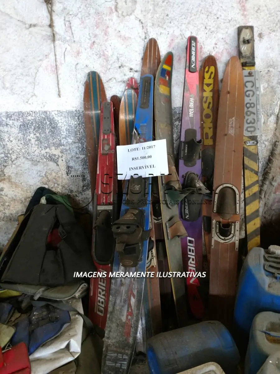 LOTE 008 - Pranchas de Esqui Aquático.