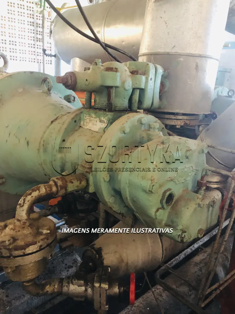 LOTE 001 - 02 compressores de parafuso, sistema helicoidal para funcionamento com gás NH3 (amônia), acoplados a motores elétricos de 40CV.