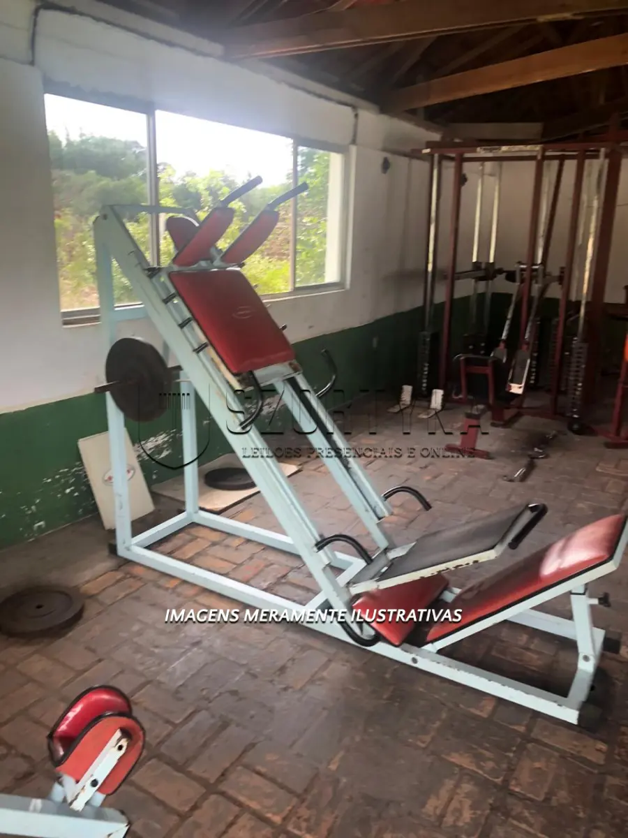 LOTE 001 - APARELHOS DE GINÁSTICA E MUSCULAÇÃO