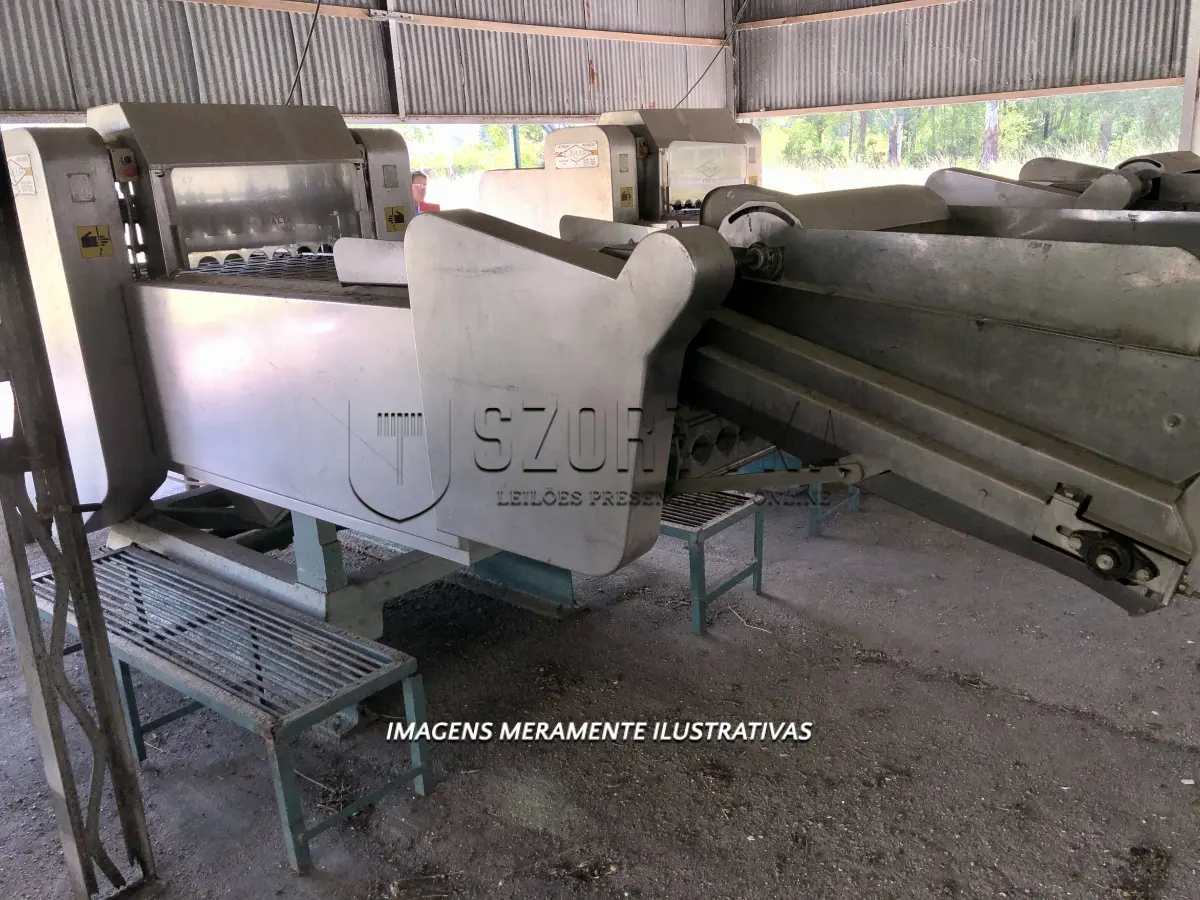 LOTE 001 - UMA DESCAROÇADORA DE PÊSSEGO OMIP, FABRICAÇÃO ITALIANA, ANO 1996.
